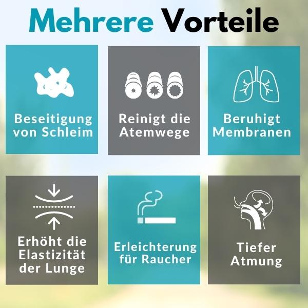 Healthify™ - Lungenpflege-Inhalator