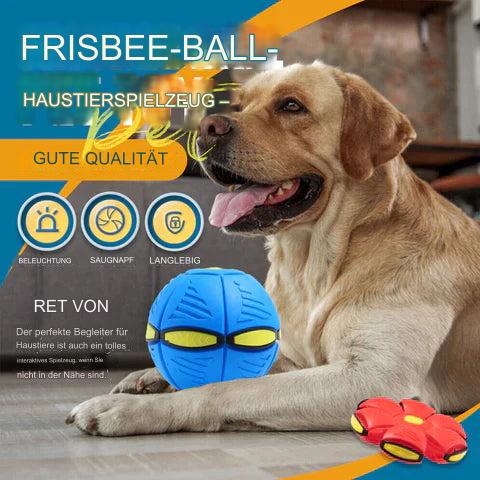 Zolara Frisbee-Bal |  1 + 1 Gratis!