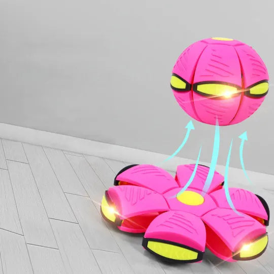 Zolara Frisbee-Bal |  1 + 1 Gratis!