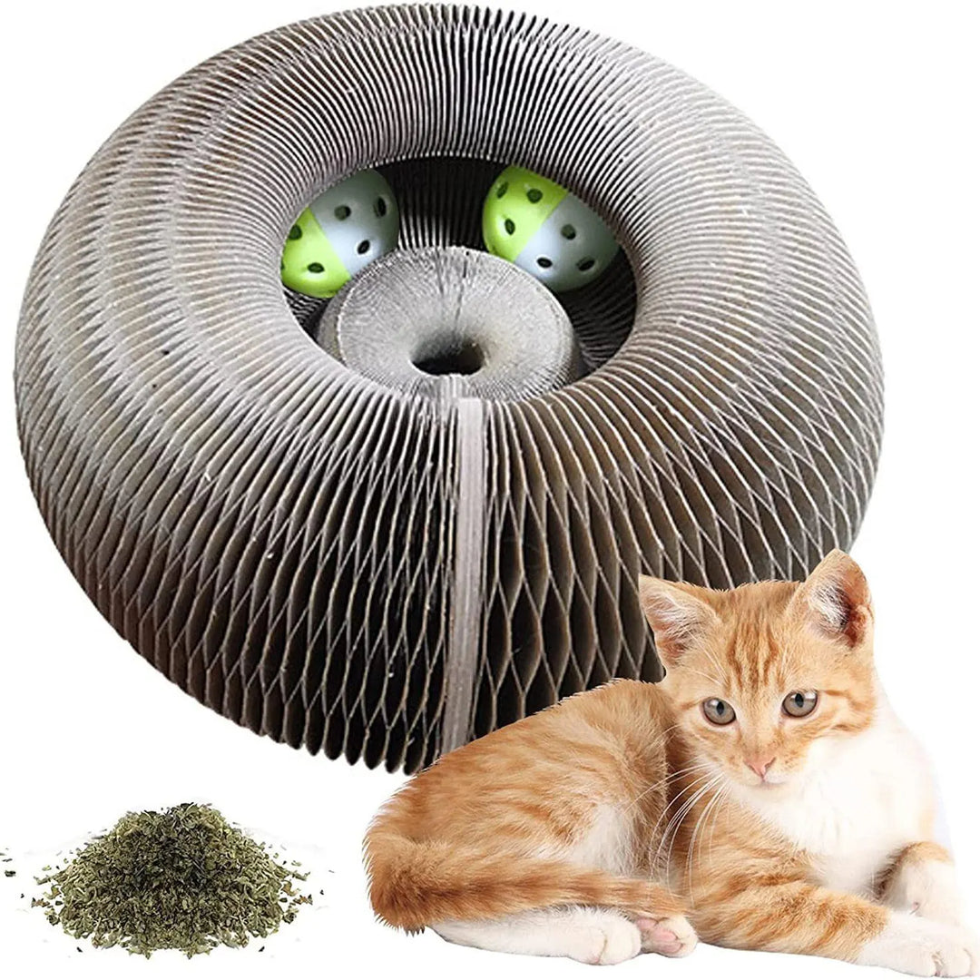 PurrPlay | Multifunktionaler Spaß für glückliche Kätzchen