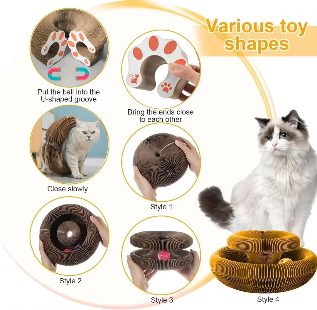 PurrPlay | Multifunktionaler Spaß für glückliche Kätzchen
