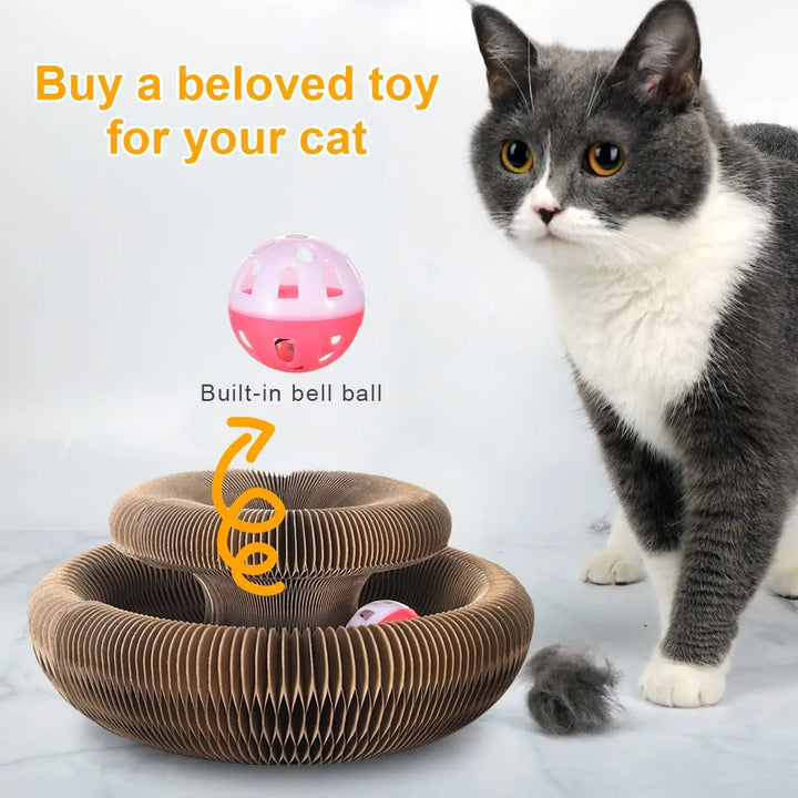 PurrPlay | Multifunktionaler Spaß für glückliche Kätzchen