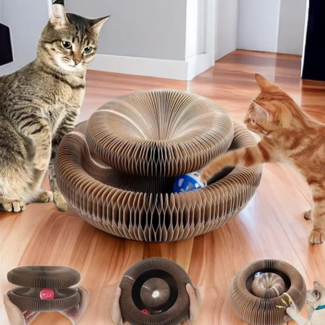 PurrPlay | Multifunktionaler Spaß für glückliche Kätzchen