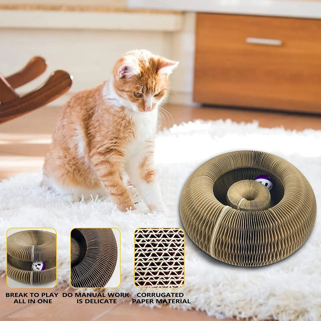 PurrPlay | Multifunktionaler Spaß für glückliche Kätzchen