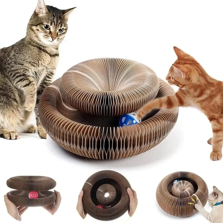 PurrPlay | Multifunktionaler Spaß für glückliche Kätzchen