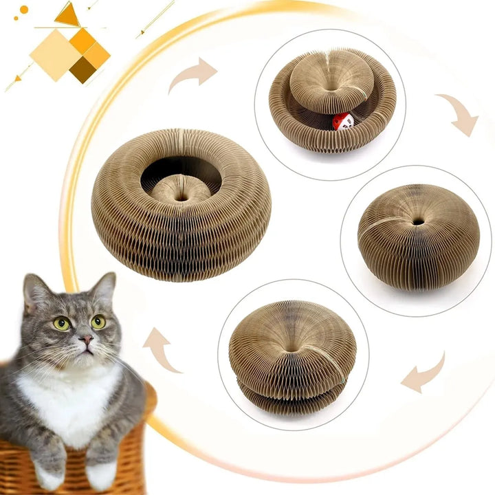 PurrPlay | Multifunktionaler Spaß für glückliche Kätzchen